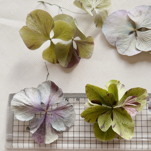モールフラワー カラフルな紫陽花の鉢植え 3点セット