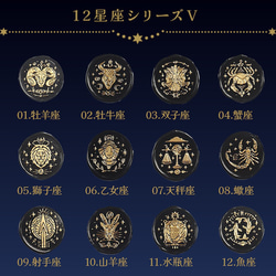 シーリングスタンプ・ヘッド《12星座シリーズV・星画》 はんこ