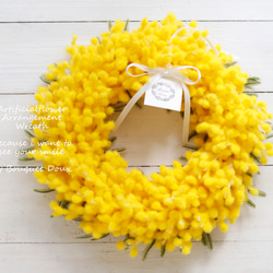 【リース5】玄関に飾る！春爛漫のミモザのリース　黄色のリース　ミモザの日　 1枚目の画像