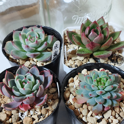 bb021561f59bbd9d16a6d01f1623e6