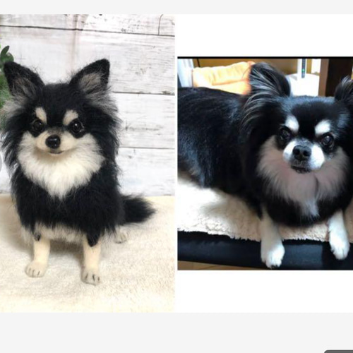 羊毛フェルト【オーダーメイド】☆ハンドメイド 犬☆メモリアル 羊毛フェルト【オーダーメイド】☆ハンドメイド 犬☆メモリアル