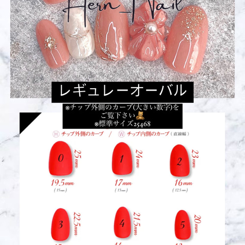 グレーブラウンゼブラリングネイルチップ ネイルチップ（つけ爪） HerN