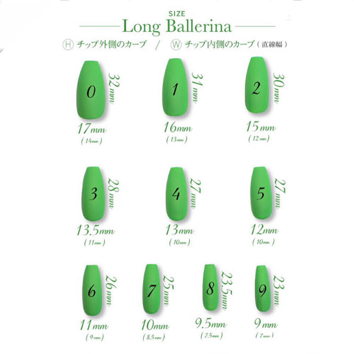 サイズ確認用チップ ネイルチップ（つけ爪） sparkle/ネイルチップ