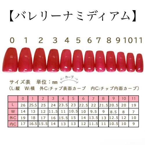 サイズ確認用チップ ネイルチップ（つけ爪） Sparkle/ネイルチップ