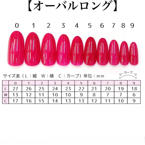 ♡チップサイズ表♡ レギュラーオーバルチップ☆サイズ表の通販 by ASA NAIL's shop