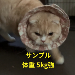布製エリザベスカラー 猫用 浴衣生地 5枚目の画像