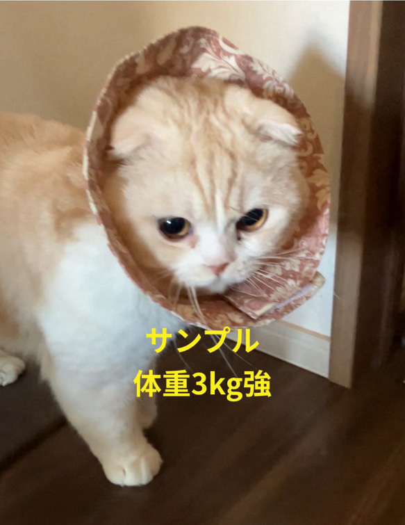 布製エリザベスカラー 猫用 浴衣生地 4枚目の画像