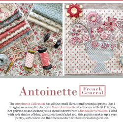 「Antoinette」moda Charm Pack (カットクロス42枚) フレンチジェネラル 3枚目の画像