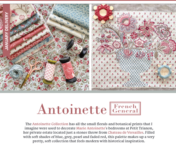 「Antoinette」moda Charm Pack (カットクロス42枚) フレンチジェネラル 3枚目の画像