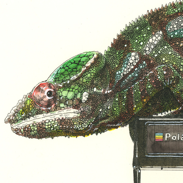 （チャリティー）カメレオン原画 2枚目の画像