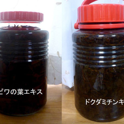ツパイ工房　ハンドメイド浅漬鉢 卓上浅漬け鉢 その他調理器具 ツパイ工房 ガラス・金工 通販