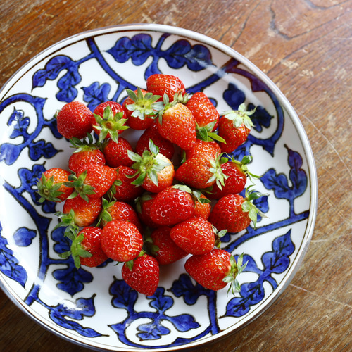 京焼 手描草花紋八寸皿 京焼 手描草花紋八