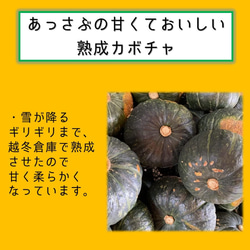 防災に　レトルト野菜 もうゆでちゃった カボチャ 200g×4袋 サステナブル 北海道 時短 非常食 無添加 5枚目の画像