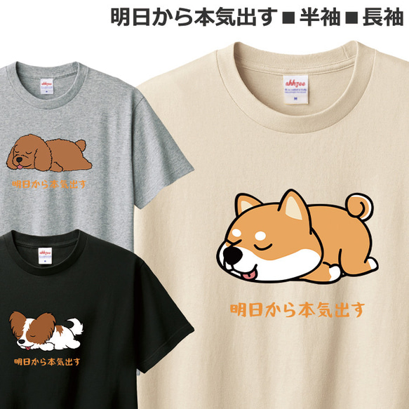 Tシャツ 犬 明日から本気出す おしゃれ おもしろ イヌ ティシャツ 1枚目の画像