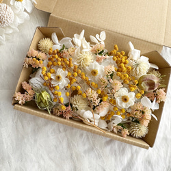 花材セット　花材詰め合わせ　プリザーブドフラワー　ドライフラワー　木の実セット 花材セット 花材詰め合わせ ドライフラワー その他素材 momo.flower