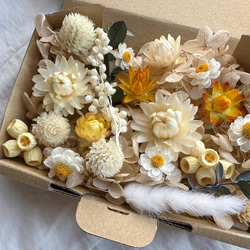 花材セット 花材詰め合わせ ドライフラワー その他素材 momo.flower