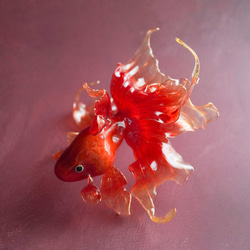 2.5Dの立体的な金魚オブジェ 2.5Dの立体的な金魚オブジェ - メルカリ