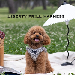 受注製作Liberty フリルハーネス* 犬用ハーネス/犬服/リバティ