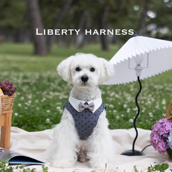  *受注製作Liberty ハーネス* 犬用ハーネス/犬服/リバティ/おしゃれ