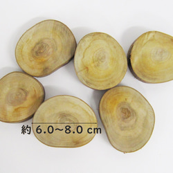 桜の木（大）6枚・スライス木材・木のスライス・アクセサリーや小物作りに 2枚目の画像