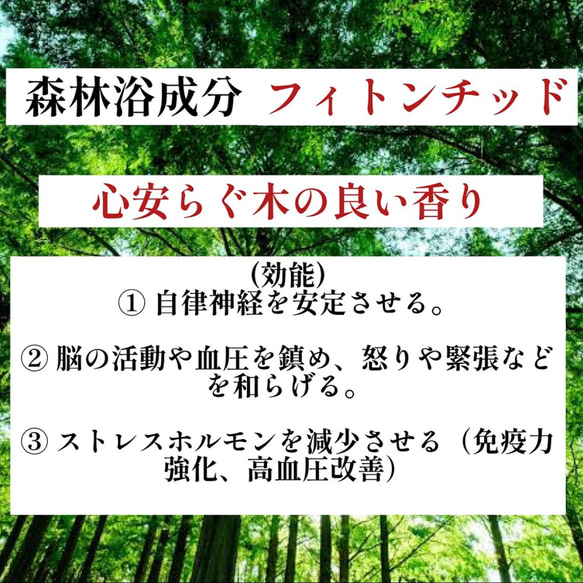 【世界に1本だけ】屋久杉のボールペン・長寿を祈る贈り物に C1079 10枚目の画像