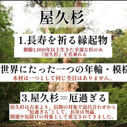 【世界に1本だけ】屋久杉のボールペン・長寿を祈る贈り物に C1079 8枚目の画像