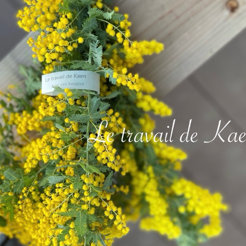 ☘2025年のフレッシュミモザリース・スワッグ☘