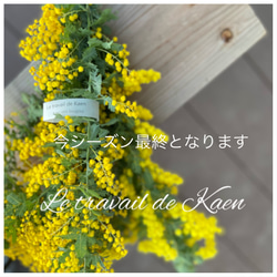 2026販売！ミモザのスワッグ♡ドライフラワーミモザ花束♡おしゃれ