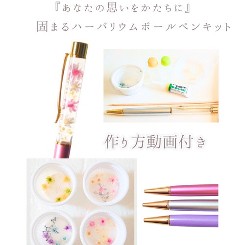 ここにしか咲かない花〛初心者 固まるハーバリウムボールペンキット