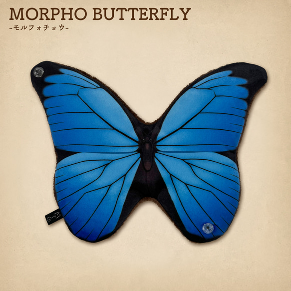 MATAGI：モルフォチョウ/MORPHO BUTTERFLY 1枚目の画像