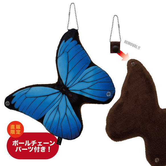 MATAGI：モルフォチョウ/MORPHO BUTTERFLY 5枚目の画像