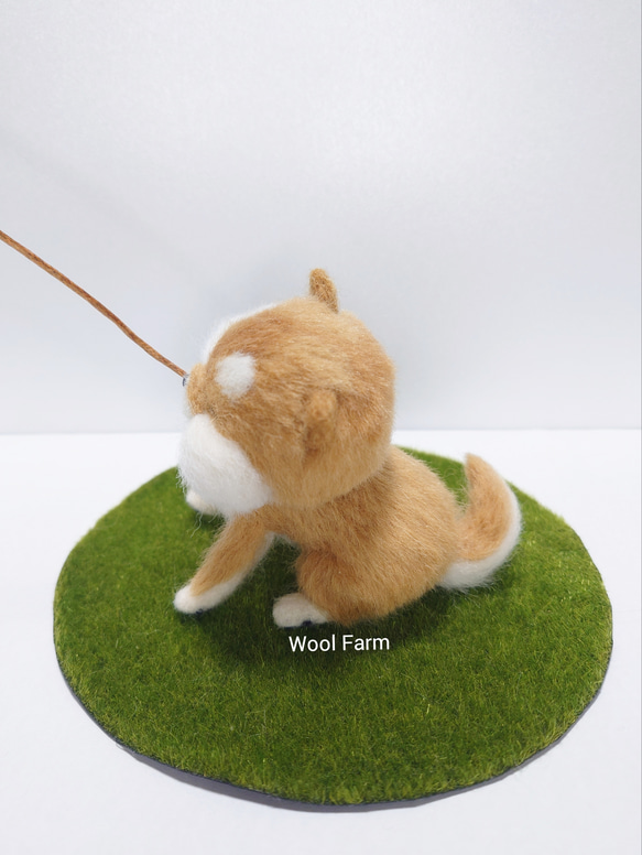 拒否柴　～Wool Farm～　羊毛フェルト 3枚目の画像