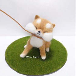 拒否柴 ～Wool Farm～ 羊毛フェルト 羊毛フェルト ueue 通販 17120965