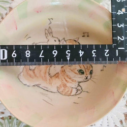 R6006 キュートなネコちゃん小皿3枚セット 11枚目の画像