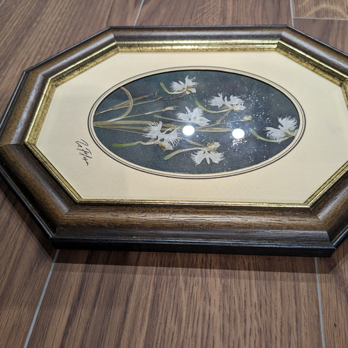 鷺草 飾り大皿 36cm