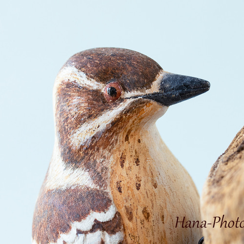 木製 手彫り 鳥 コゲラ バードカービング 野鳥 彫刻 木彫り バードカービング作品 カワセミ 鳥の木彫り 彫刻 ume 通販