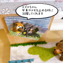 ミニチュアダックス　犬　子犬　メモホルダー　写真立て　ミニチュア木工　置物　スズメ 10枚目の画像
