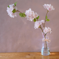 自宅でお花見 お水換え不要＊桜のウォーターアレンジ　マジカルウォーター　ひなまつり　桜ハンドメイド2024 5枚目の画像