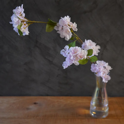 自宅でお花見 お水換え不要＊桜のウォーターアレンジ　マジカルウォーター　ひなまつり　桜ハンドメイド2024 14枚目の画像