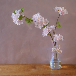 自宅でお花見 お水換え不要＊桜のウォーターアレンジ　マジカルウォーター　ひなまつり　桜ハンドメイド2024 16枚目の画像