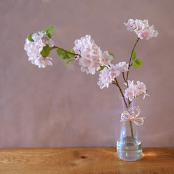 自宅でお花見 お水換え不要＊桜のウォーターアレンジ　マジカルウォーター　ひなまつり　桜ハンドメイド2024 2枚目の画像