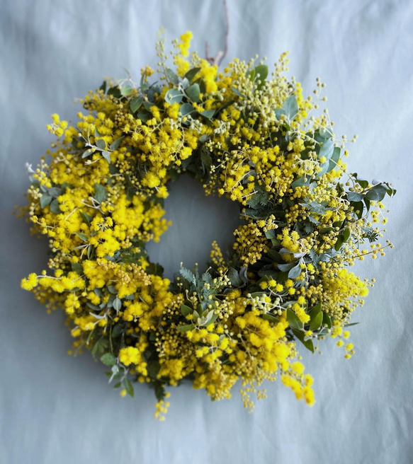 【予約販売】　mimosa wreath 2枚目の画像