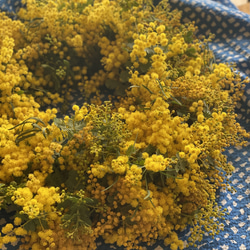 【予約販売】　mimosa wreath 6枚目の画像