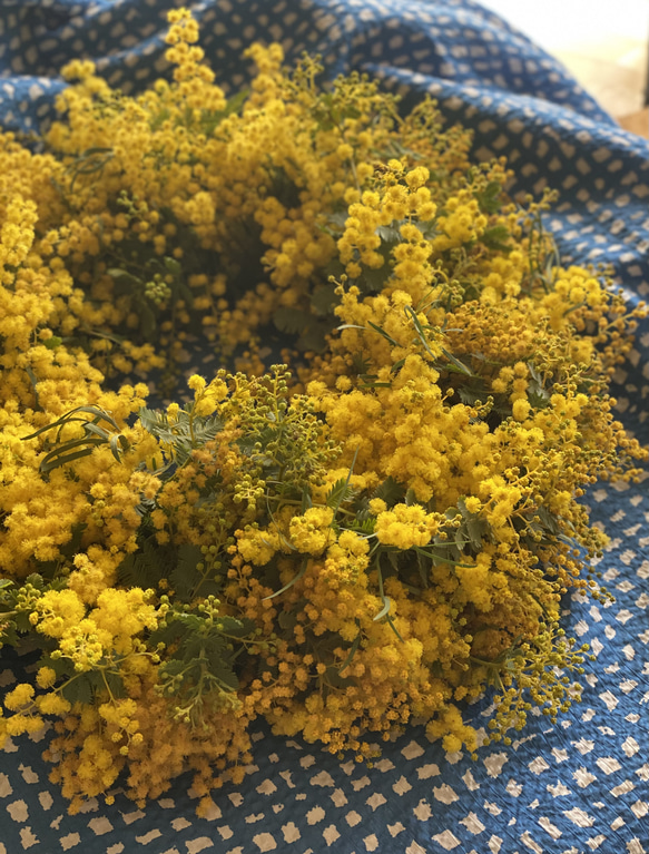 【予約販売】　mimosa wreath 6枚目の画像