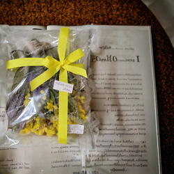  第6張的照片