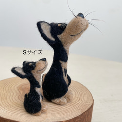 【受注生産】羊毛フエルト ひげホルダー（チワワ/ブラック×タン）/Lサイズ 6枚目の画像