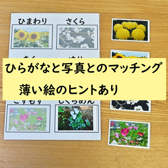 ひらがなの学習セット　ひらがなのマッチング　花の写真編　ひらがなを読む学習に 4枚目の画像