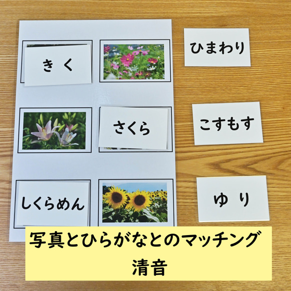 ひらがなの学習セット　ひらがなのマッチング　花の写真編　ひらがなを読む学習に 5枚目の画像