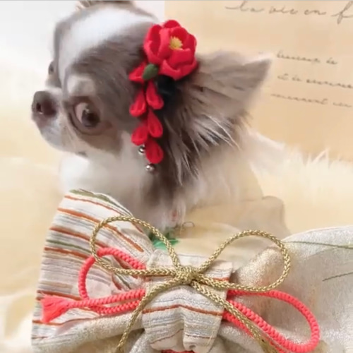 わんこの髪飾り＊椿の花＊着物 和装＊お正月 ひな祭り 七五三 ペット服