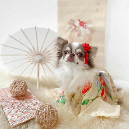 【いぬ】七五三　髪飾り　アンティーク着物 わんこの髪飾り＊椿の花＊着物 和装＊お正月 ひな祭り 七五三 ペット服